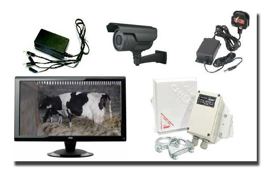 Calving Cameras - Cork
