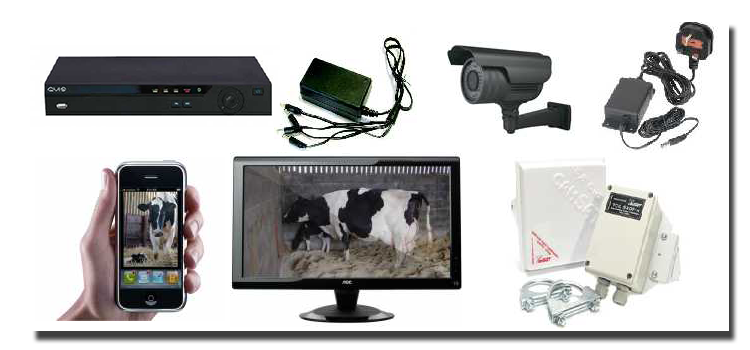 Calving wireless cameras